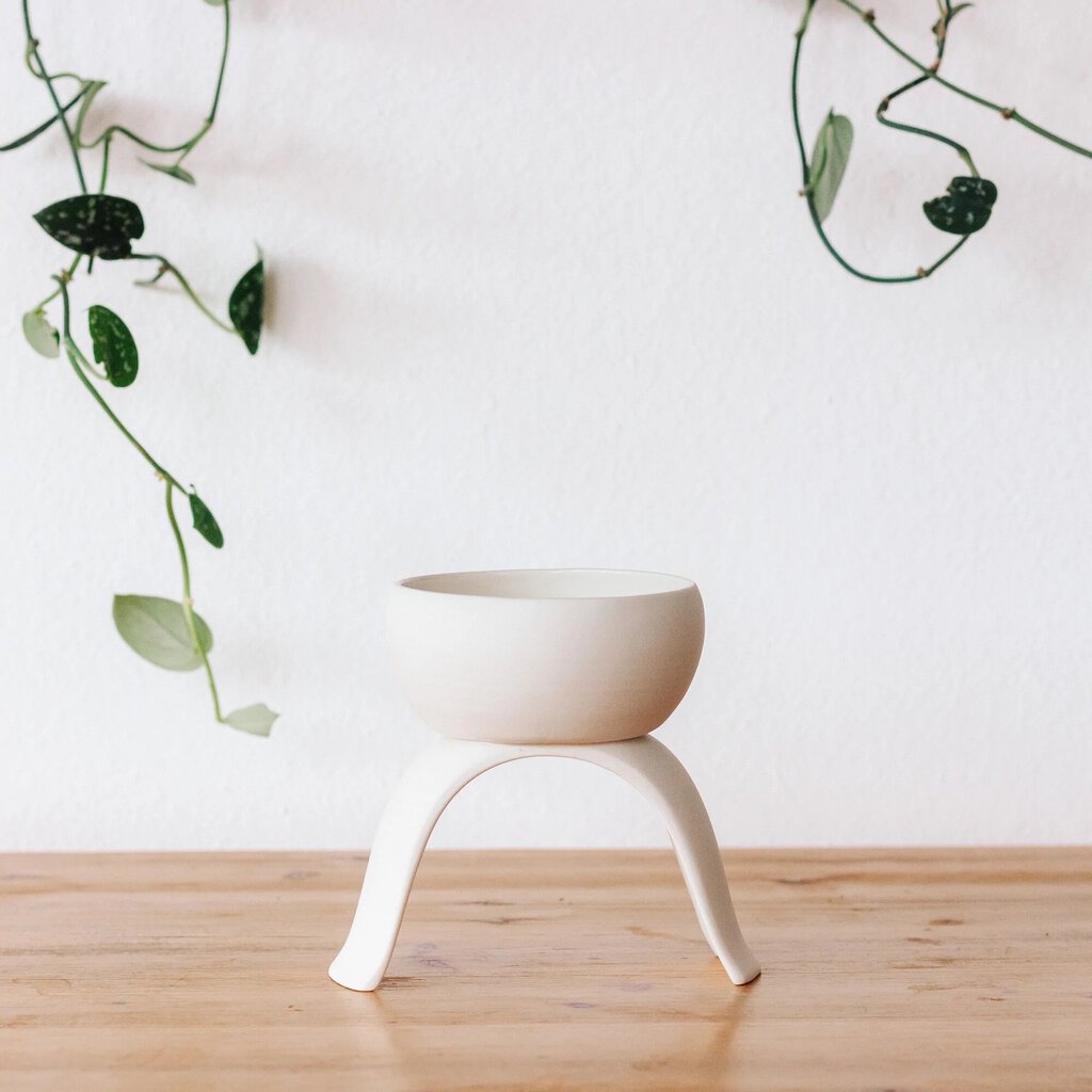 Carter & Rose - Ceramic High Rise Shallow Planters - Small (3.5")