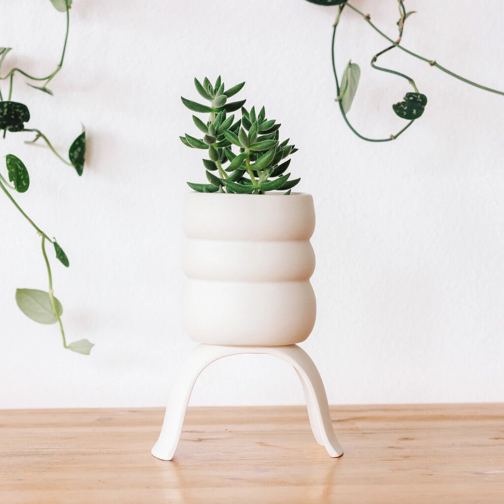 Carter & Rose - Ceramic Wiggle Planters - Medium