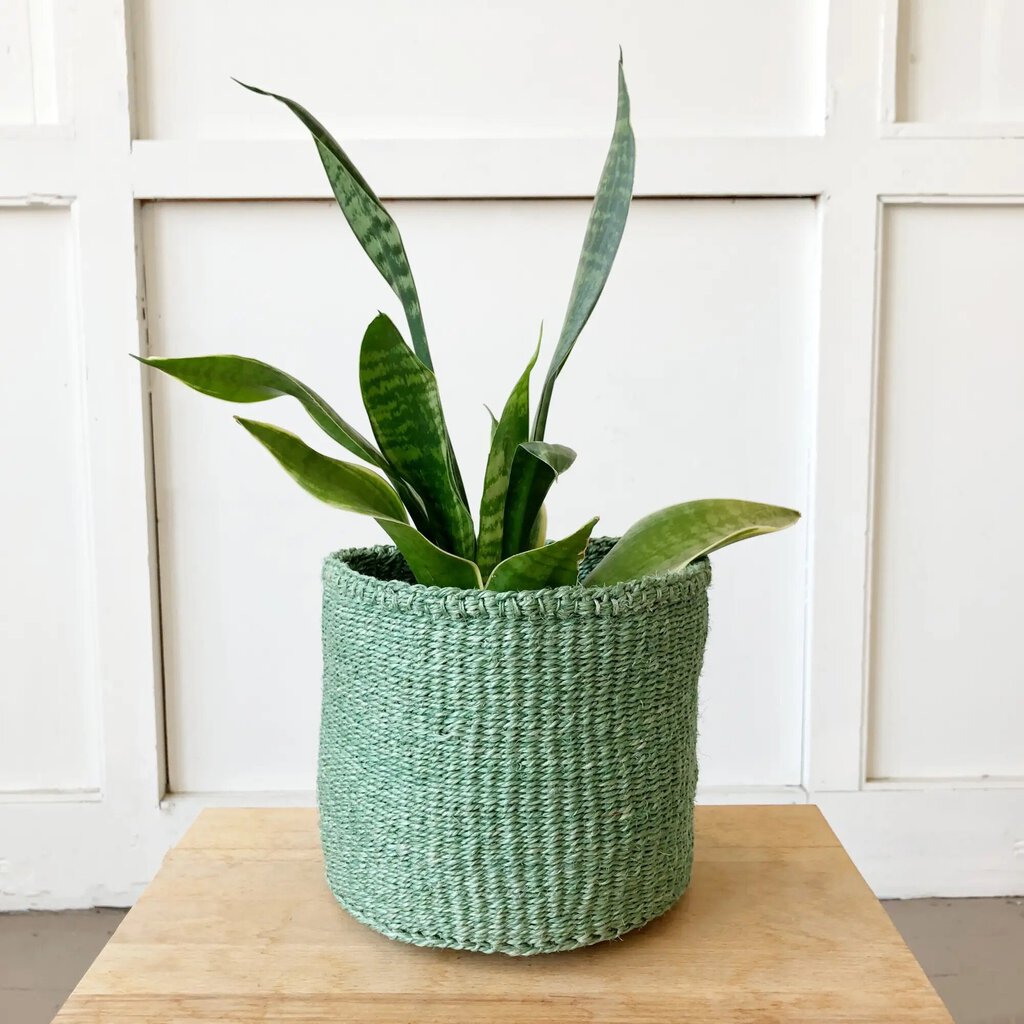 Amsha - Sage Green Sisal Storage Basket - Small