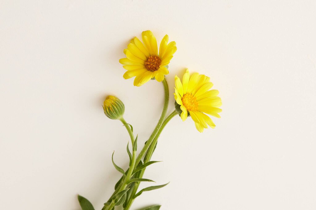 Under Luna - Serenity Conditioner