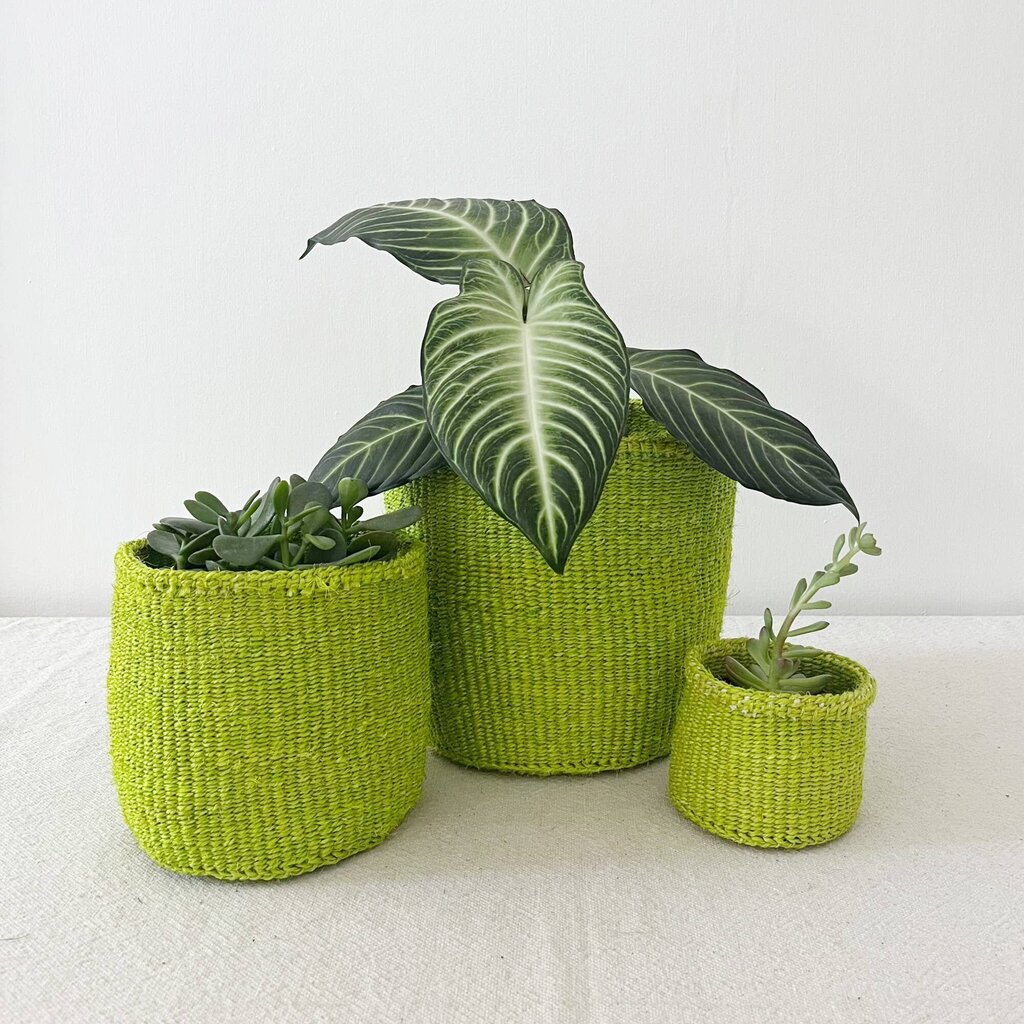 Amsha - Lime Sisal Storage Basket - XS