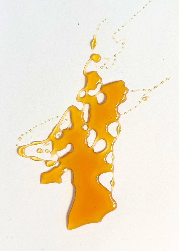 Green Dream Pantry - Oregon Meadowfoam Honey