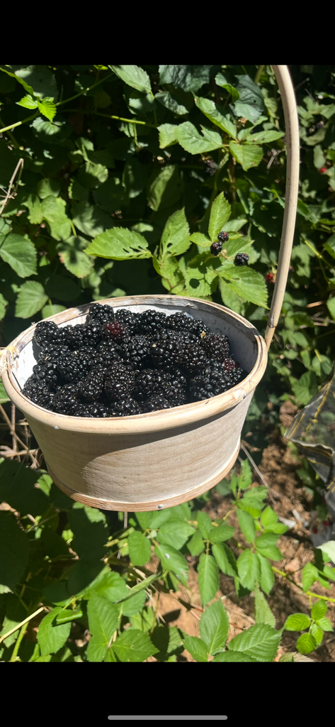 Green Dream Pantry - Pacific Northwest Berry Jam