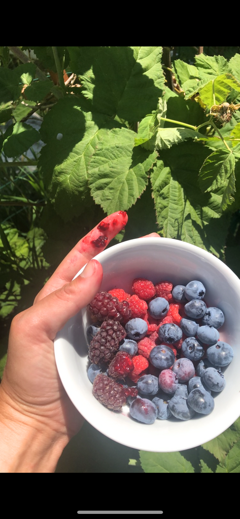 Green Dream Pantry - Pacific Northwest Berry Jam