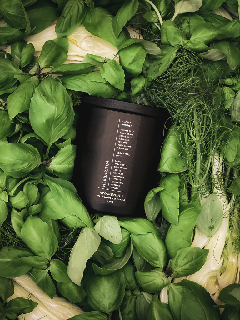 FABLERUNE - Herbarium Awakening Candle *Shopkeeper's Pick