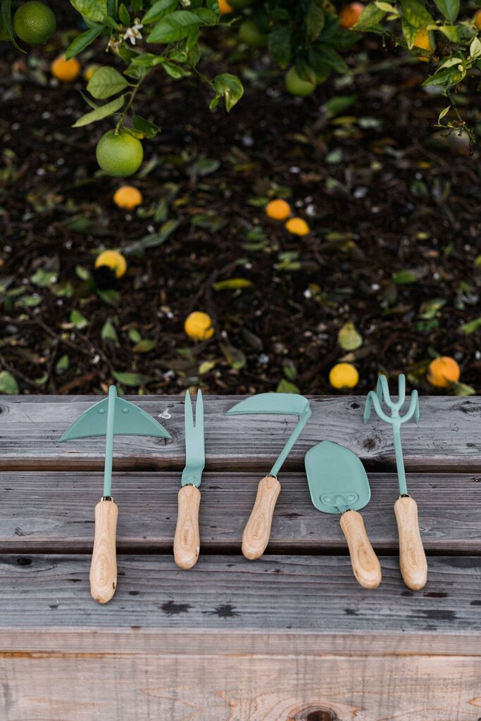 Barebones - Powdercoated Stainless Steel Dandelion Weeding Fork - Mint with Ash Handle