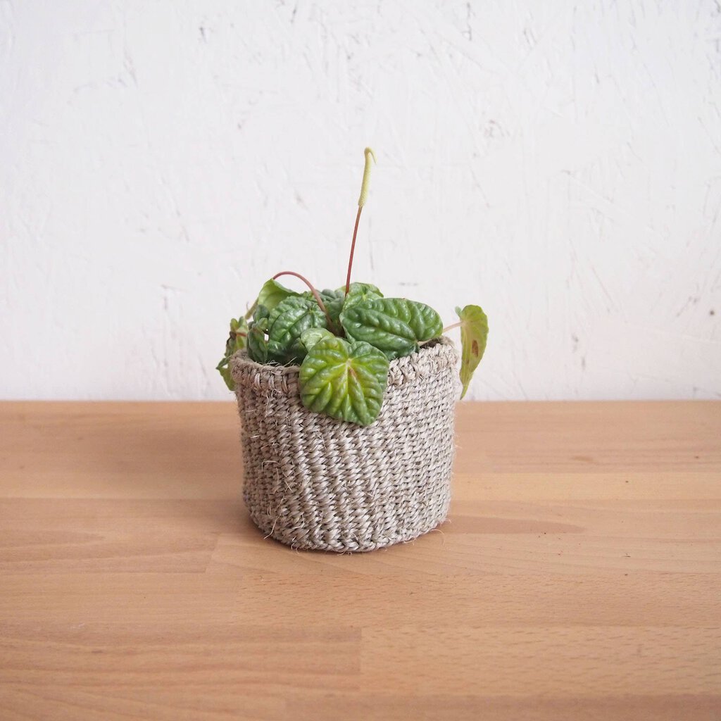Amsha - Sisal Storage Basket - Cliffs - XXS