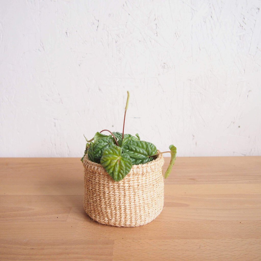 Amsha - Sisal Storage Basket - Oats - XXS