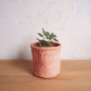 Amsha - Smallish Peachy Pink Sisal Basket - Woven in Kenya