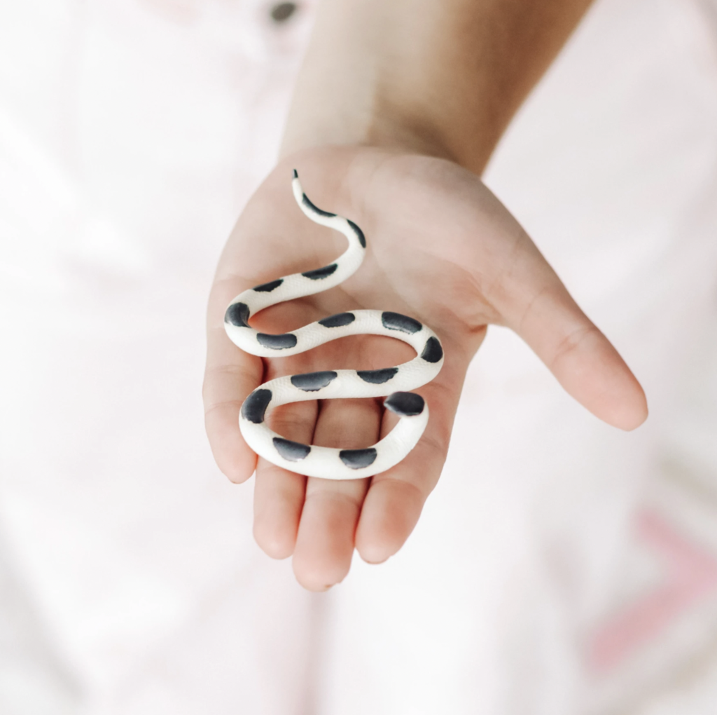 Carter & Rose - Small Ceramic Snake with Box - Simon