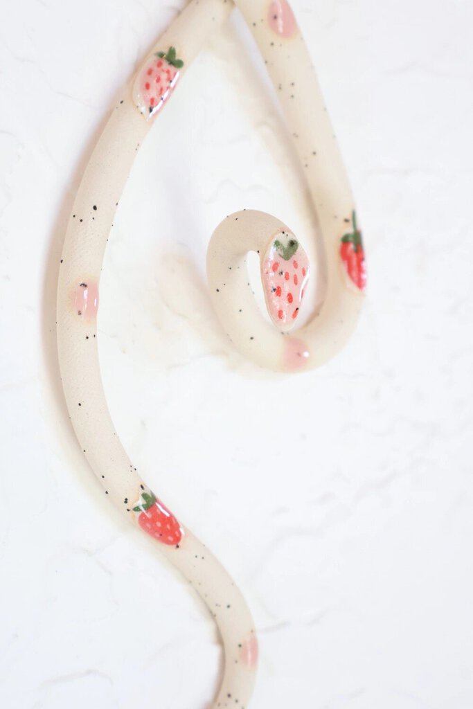 Carter & Rose - Strawberry Ceramic Wall Snake
