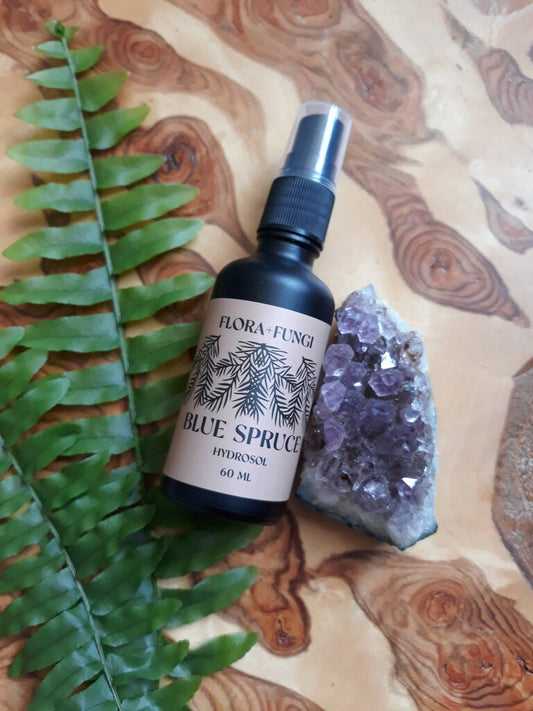 Flora + Fungi Apothecary - Blue Spruce Artisan-distilled Hydrosol