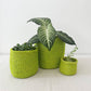 Amsha - Lime Sisal Storage Basket - XS
