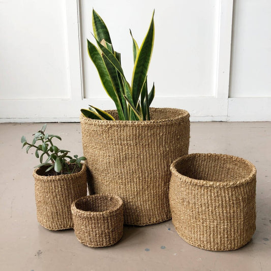 Amsha - Little Acorn Sisal Storage Basket - Woven in Kenya