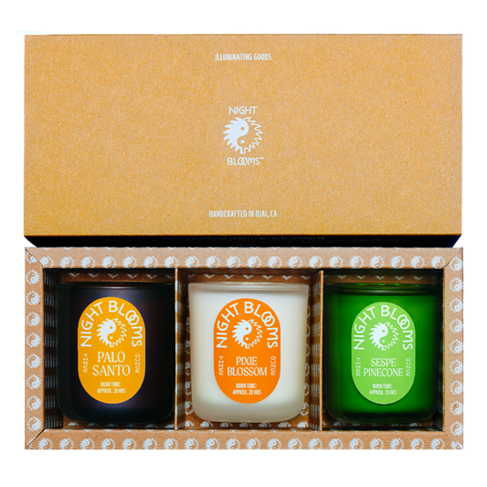 Night Blooms - Ojai Collection 3 Pack - Pixie Blossom, Sespe Pinecone + Palo Santo