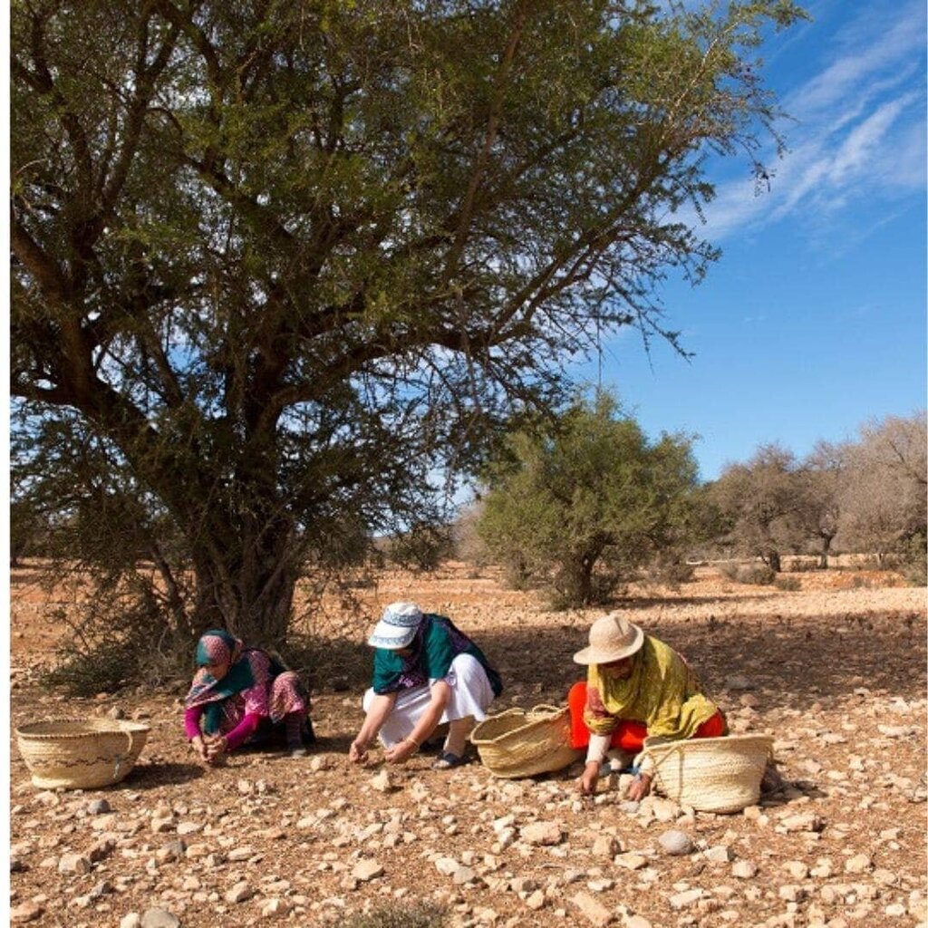 WOO - 100% Organic Cold-pressed Argan Oil