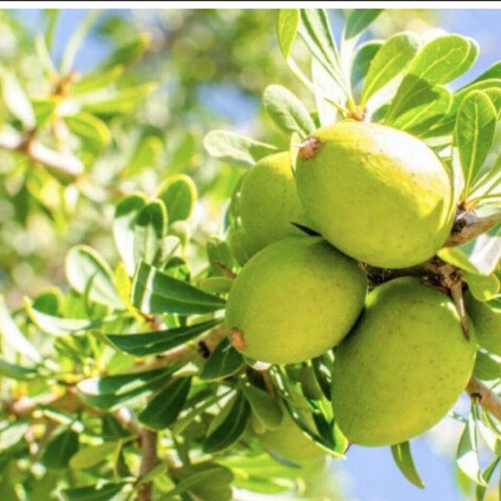 WOO - 100% Organic Cold-pressed Argan Oil