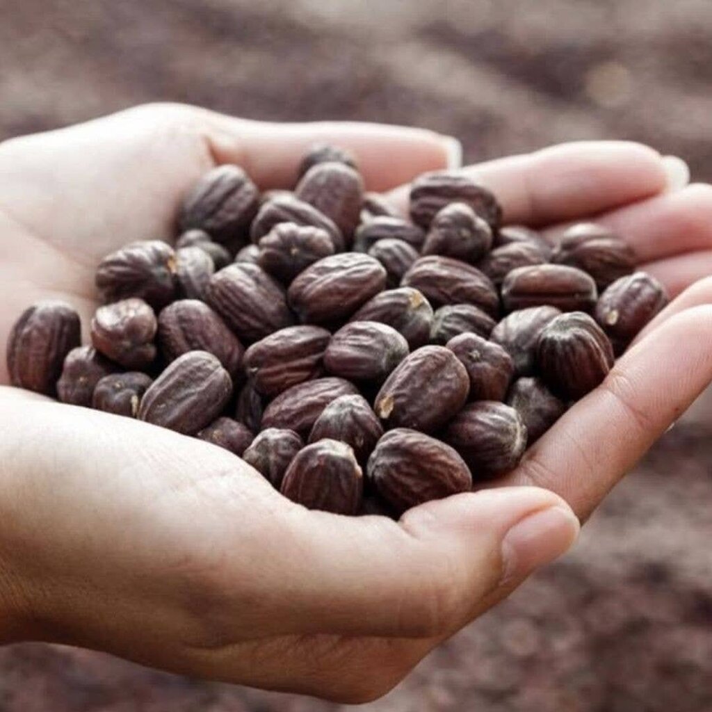 WOO - 100% Organic Cold-pressed Santal & Jojoba Oil