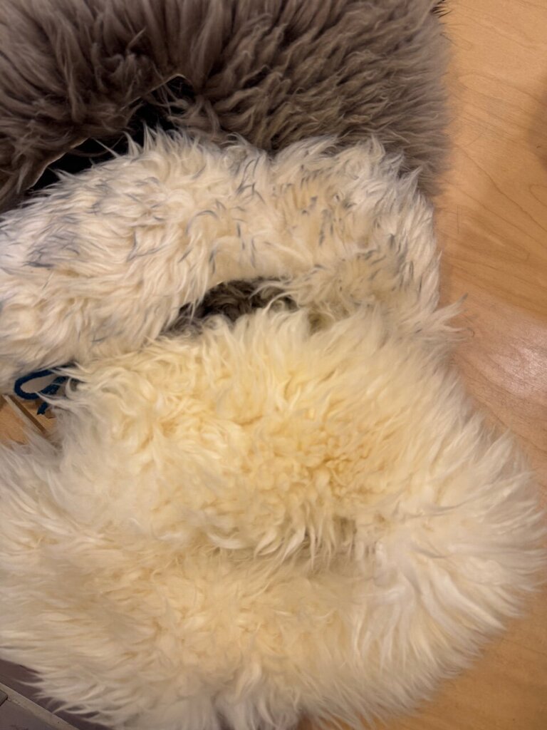 Beija Flor Rituals - Birch Long Shorn Shearling Collar with Poms