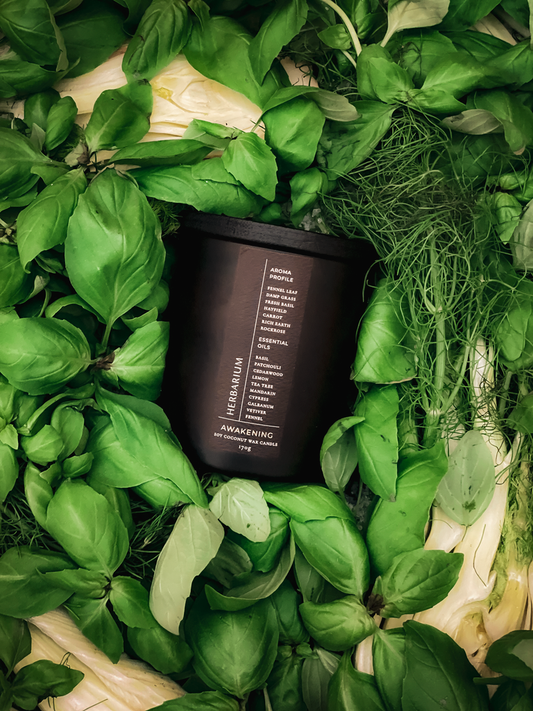 FABLERUNE - Herbarium Awakening Candle *Shopkeeper's Pick