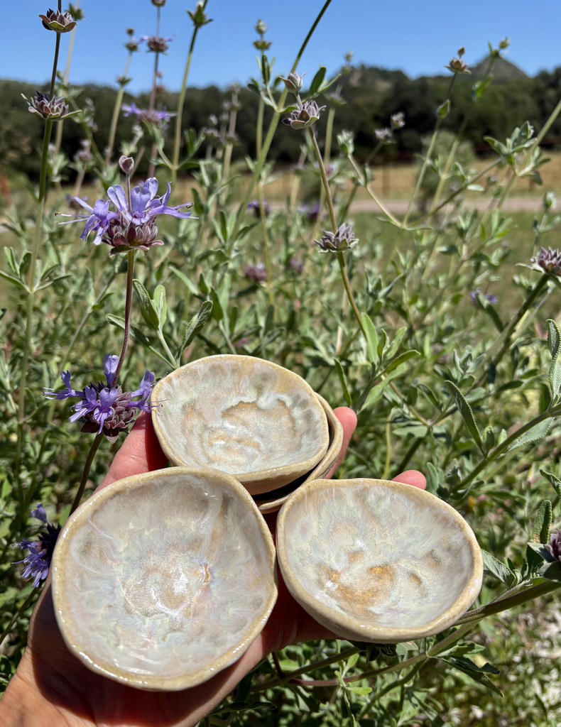 Roaming Barefoot - Handmade Ceramic Bowl