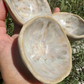 Roaming Barefoot - Handmade Ceramic Bowl