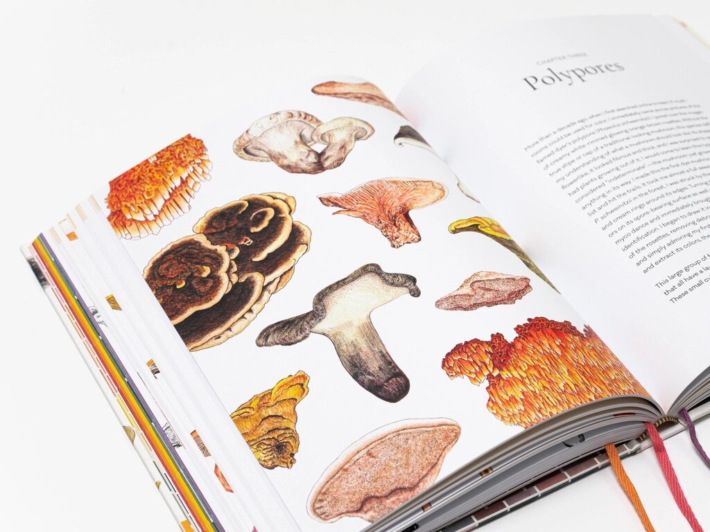 Chronicle Books- The Mushroom Color Atlas by Julie Beeler