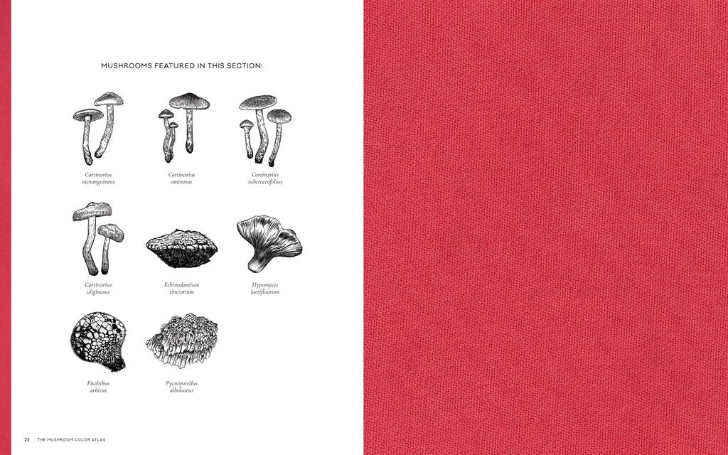 Chronicle Books- The Mushroom Color Atlas by Julie Beeler