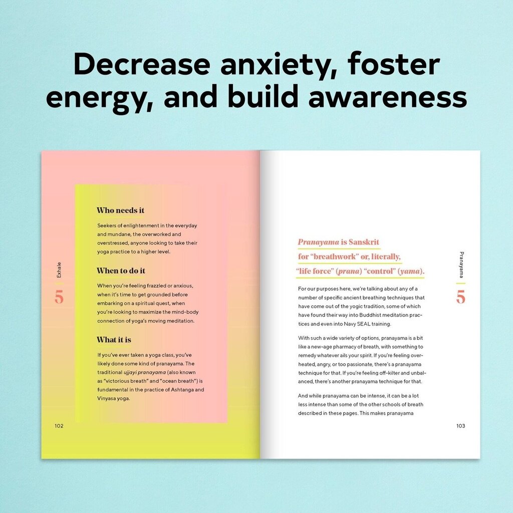 Chronicle Books - Breathwork by Andrew Smart, Illus. by Eric Nyquist