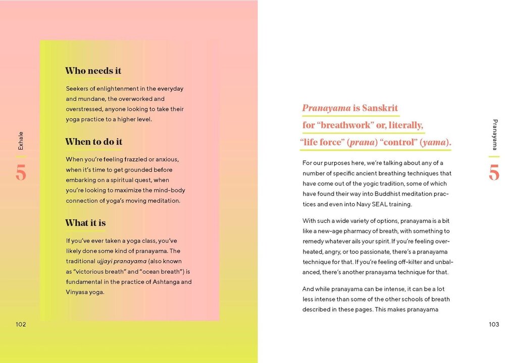 Chronicle Books - Breathwork by Andrew Smart, Illus. by Eric Nyquist