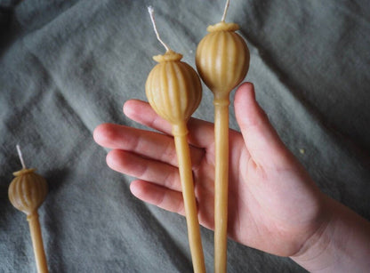 Woven - Handpoured Beeswax Poppy Pod Candle - Cortes Island, BC