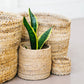 Amsha - Sisal Storage Basket - Banana Leaf - XXS - Kenya