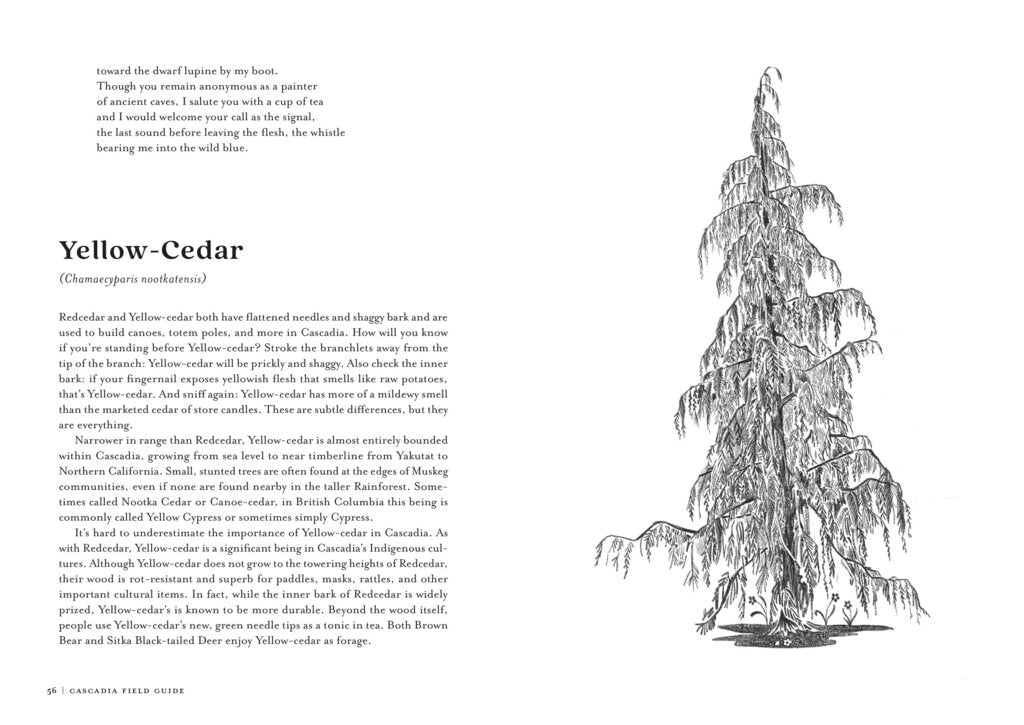 Mountainers Books - Cascadia Field Guide